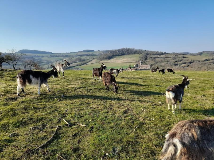 Les Vacances Passy  Bagian luar foto