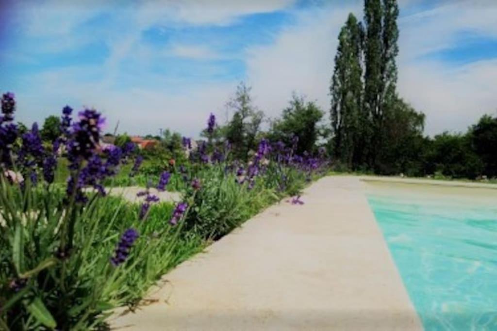 Les Vacances Passy  Bagian luar foto